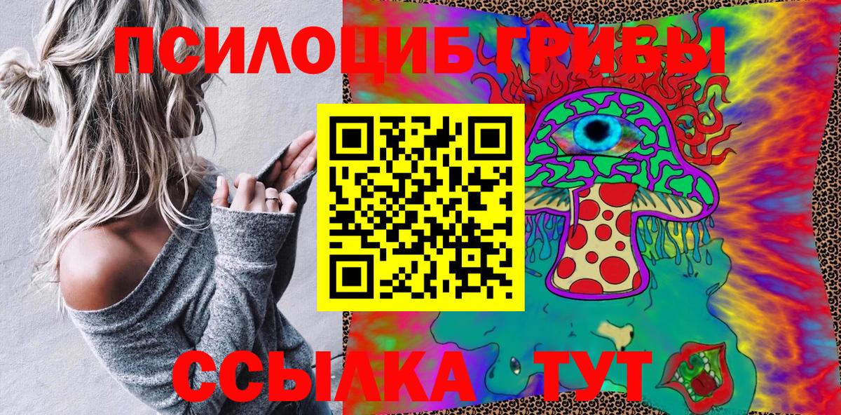 Новый Уренгой  Галлюциногенные грибы прущие грибы  дарнет шоп  Вход с VPN  Псилоцибиновые грибы Psilocybe 